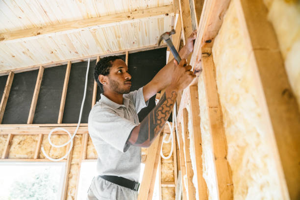 Best Attic Insulation Installation  in Owensboro, KY